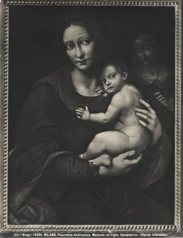 Brogi — Milano. Pinacoteca Ambrosiana. Madonna col Figlio; Gianpietrino. — insieme